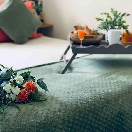 T2 Cosy Climatise 5 Min Aeroport Appartement