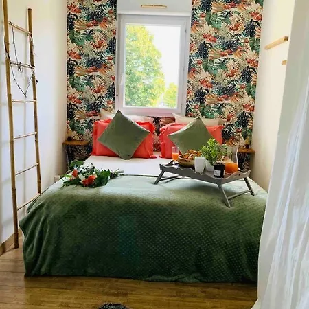 Appartement T2 Cosy Climatise 5 Min Aeroport Blagnac